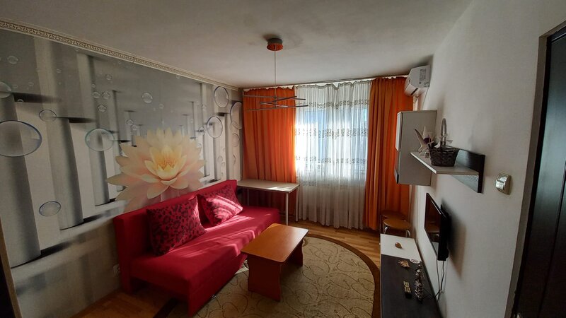 Drumul Taberei, Favorit,